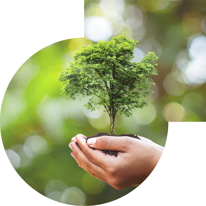 关怀人类、文化、环境与社会